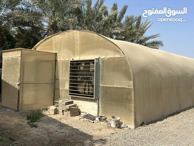 بيت محمي مستخدم قياس 15*6