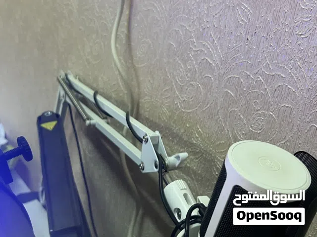 مايك مع ستناند