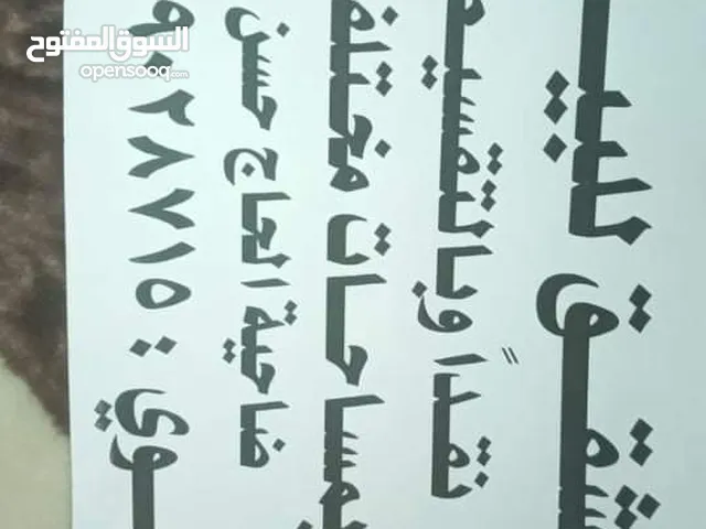 شقق نقدا وبالتقسيط في ضاحية الحاج حسن