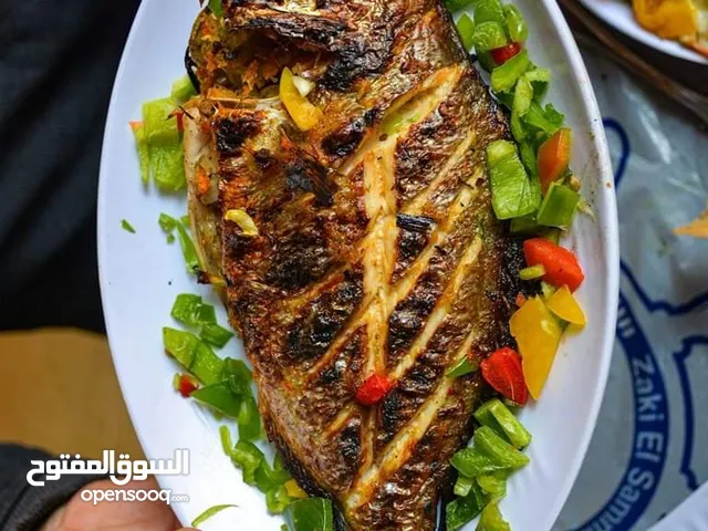 محتاج مطعم للضمان اسماك