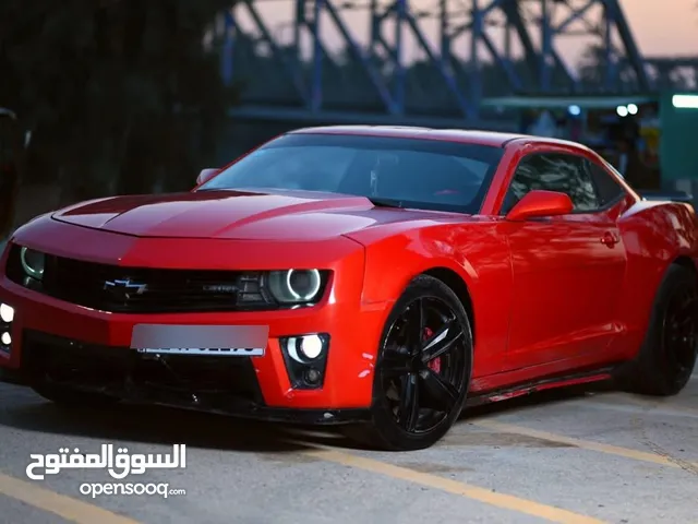 انطف كمارو 2012