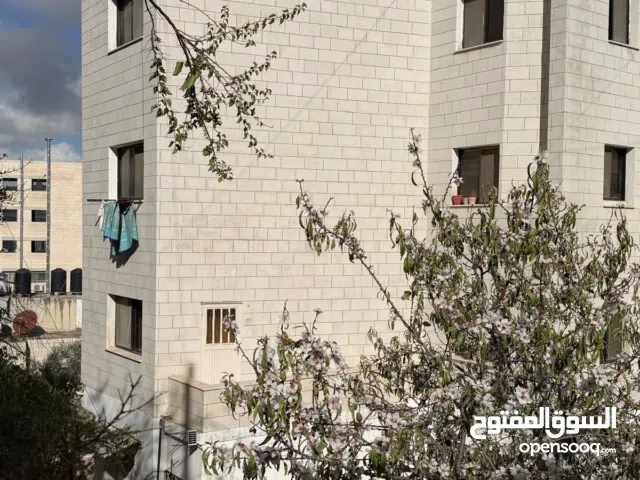 140 m2 2 Bedrooms Apartments for Rent in Nablus Rafidia