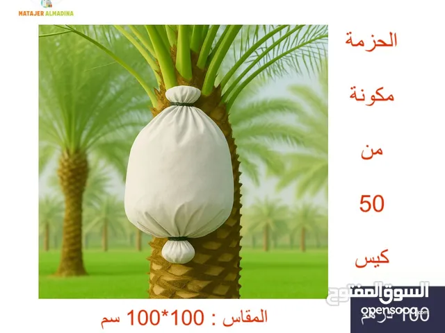 اكياس النخيل البيضاء