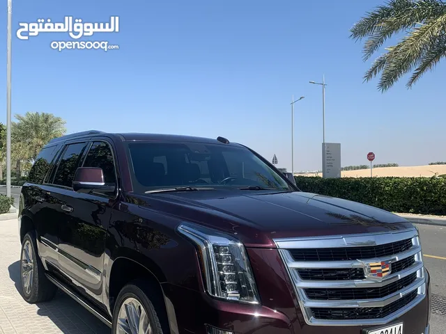 Used Cadillac Escalade in Sharjah