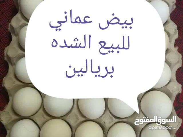 بيض عماني للبيع