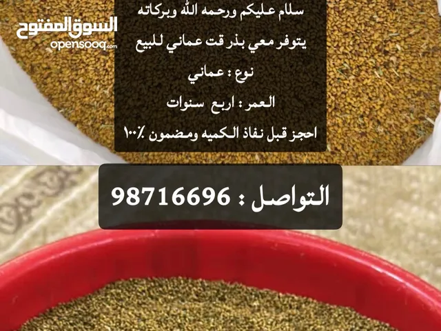 بذر قت عماني