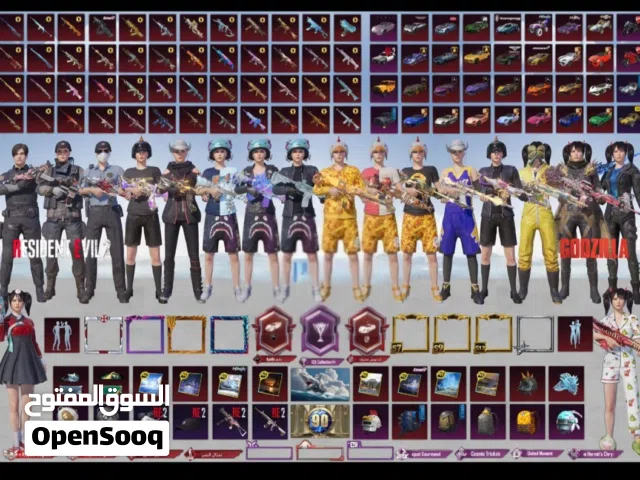 Pubg Accounts and Characters for Sale in Ibb