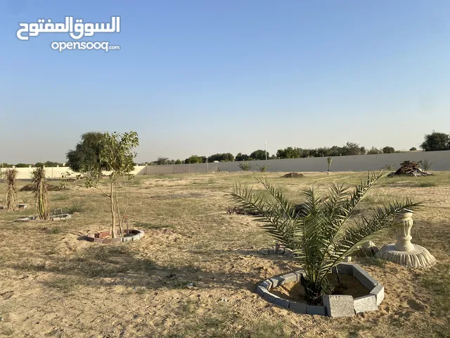 Open land - Square or yard for rent in dubai