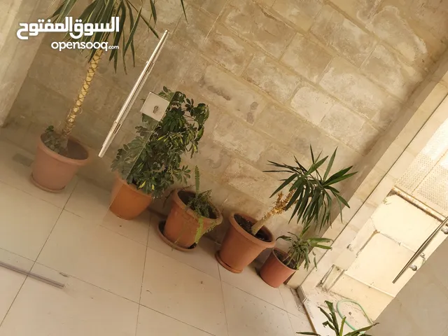 100m2 1 Bedroom Apartments for Rent in Amman Shmaisani