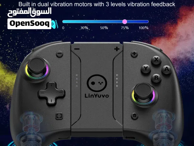 جويكونز ننتيندو سويج