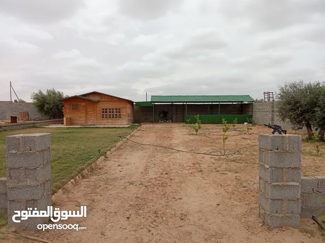 1 Bedroom Farms for Sale in Sabratha Other