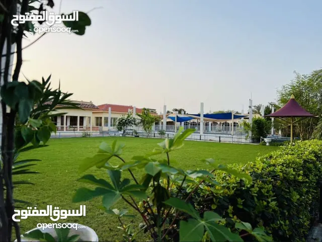 4 Bedrooms Chalet for Rent in Jerash Tal Al-Rumman