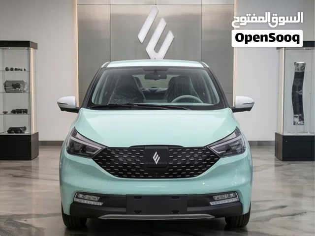 2026 جاي ام اي في EV3