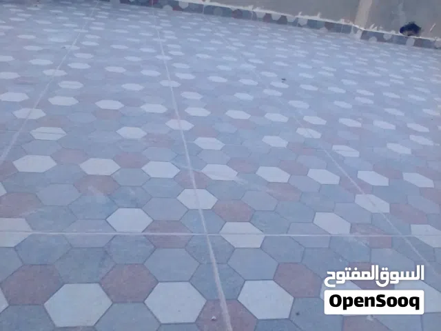 مصطفى مصر ى