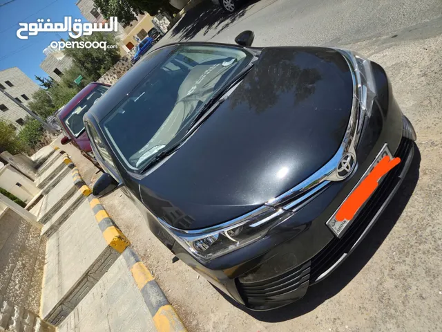 Used Toyota Corolla in Amman