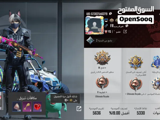 Pubg Accounts and Characters for Sale in Wasit