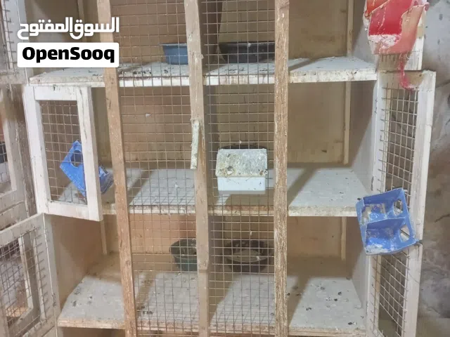 قنين خشب للبيع