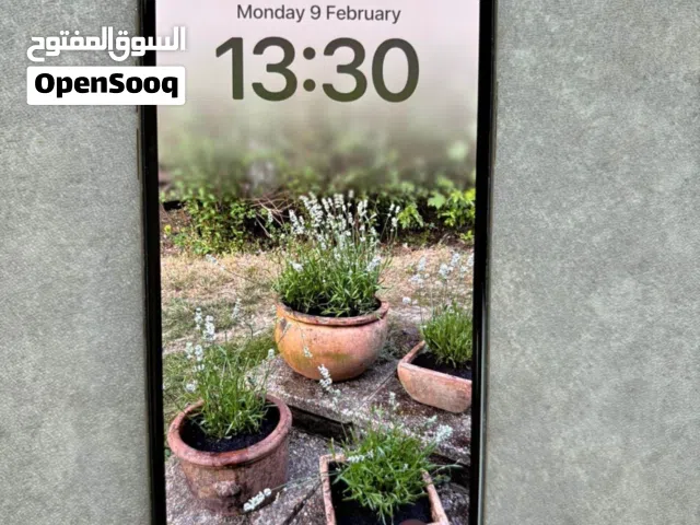 Apple iPhone XS Max 256 GB in Babylon