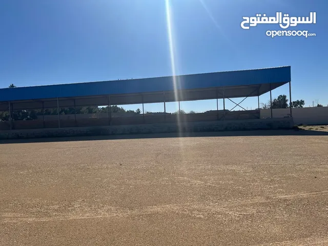 موقع جاهز لإنشاء ثلاجات تخزين