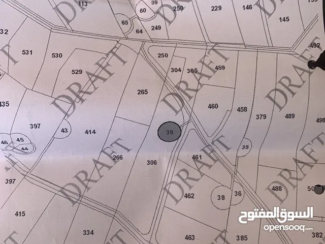 ارض للبيع في محافظة  المفرق / منطقة الزنياا / البستان