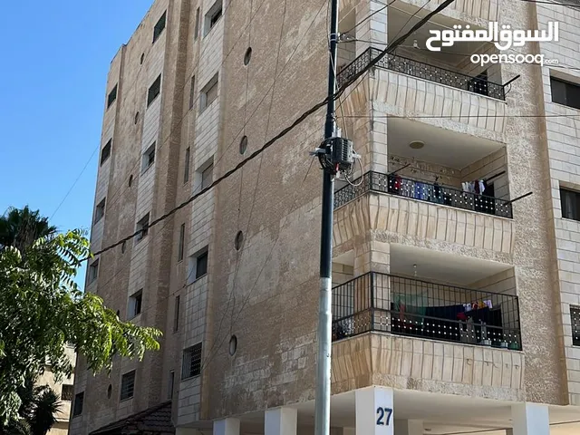 3 شقق للايجار