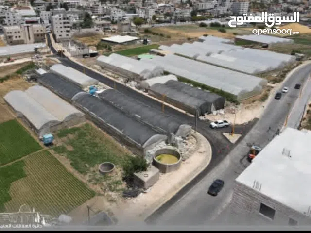 Commercial Land for Sale in Hebron Dura