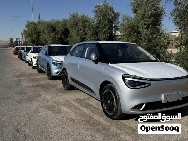 2025 Dongfeng Nammi Box