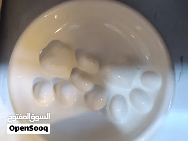 وعاء للكلاب او القطط