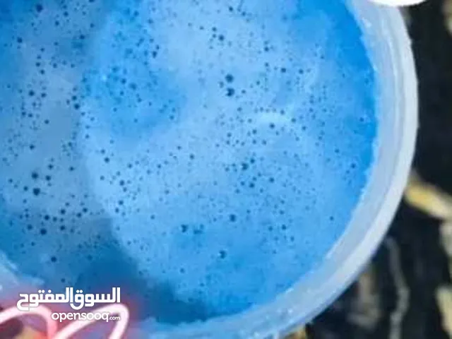 مقشر النيله الزرقاء