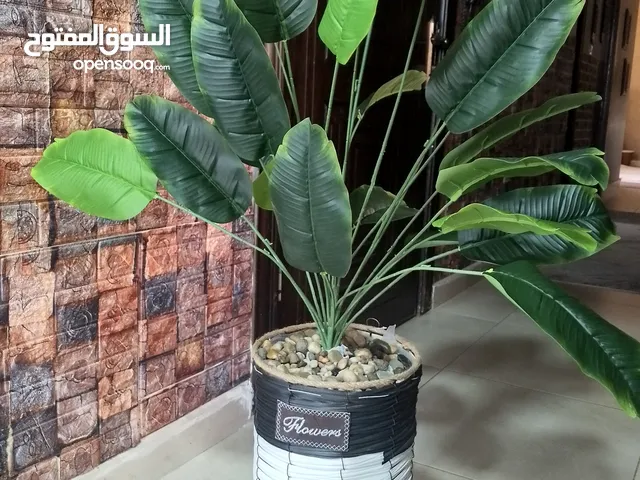 للبيع شجرة صناعية جديد مع قوار ارتفاع متر تقريبا حسب الصورة