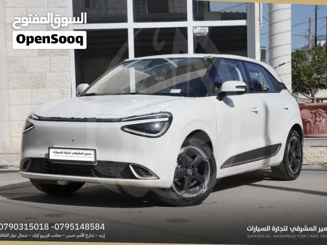 2025, Dongfeng, Nammi Box