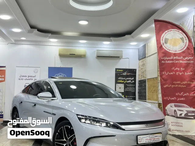 بي واي دي صالون ان اي في 2025