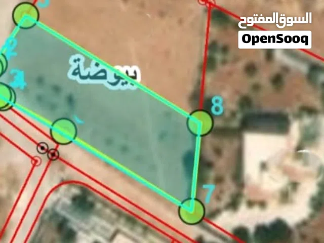 Residential Land for Sale in Salt Al Subeihi