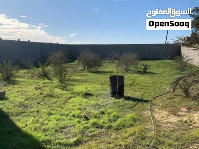 فرصة مميزة للبيع في جفينه تاجوراء