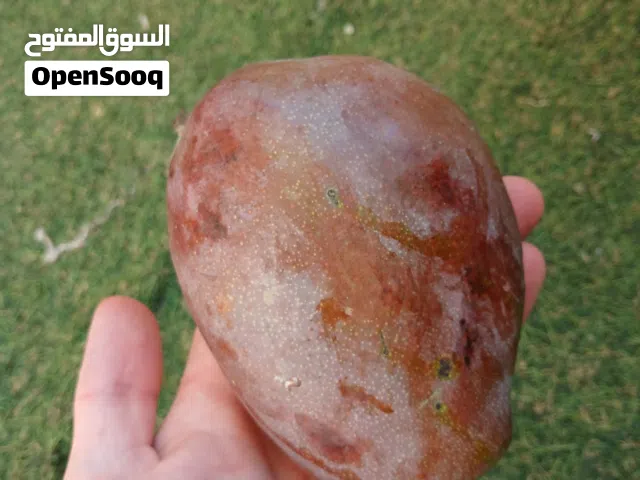 مانجو كيت و نعومي