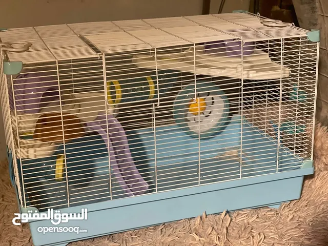 بيت هامستر