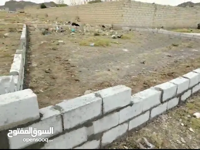 أرضية لبنتين ونصف
