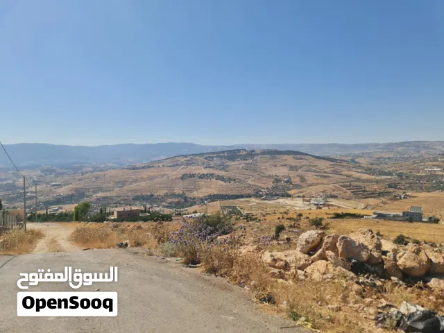 Farm Land for Sale in Jerash Unaybah