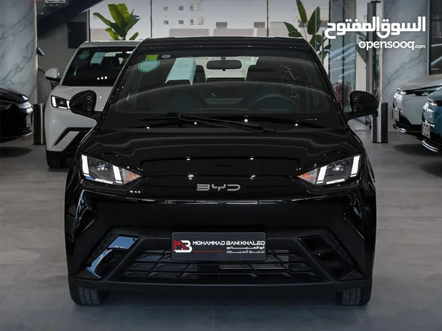 BYD SEAGULL