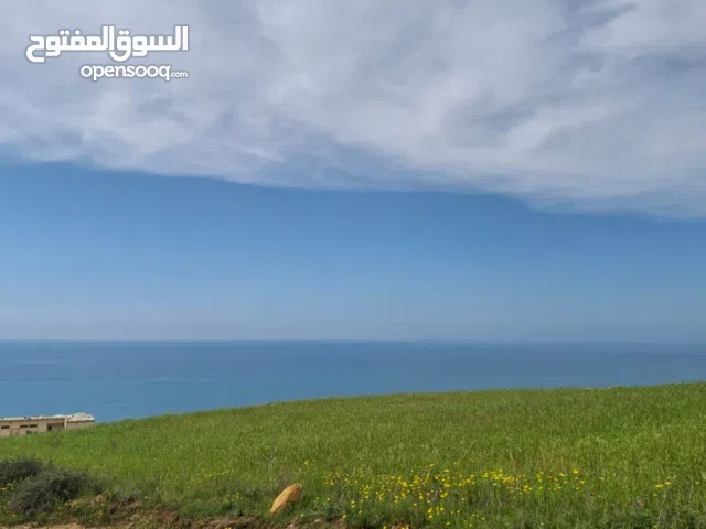 أرض فلاحية محفظة للبيع مباشرة على البحر للمشاريع السياحية