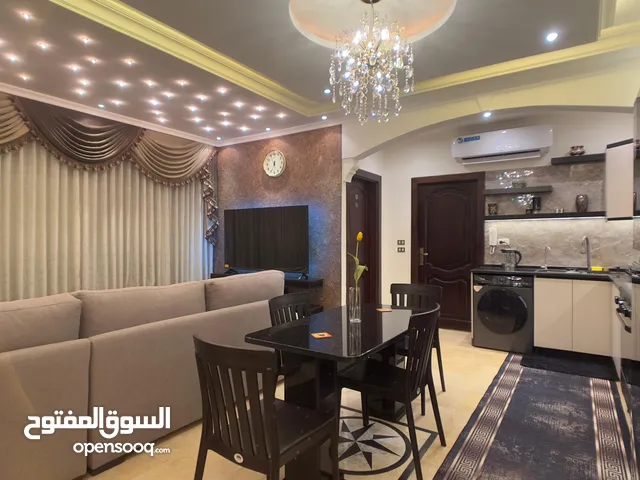 Luxury furnished apartment for rent