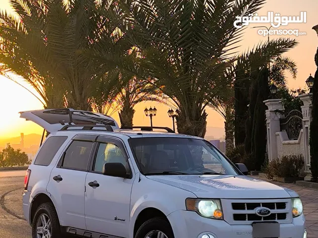 Used Ford Escape in Amman