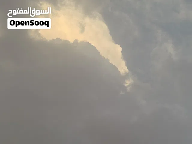 رايد دراجه ماكس او فراشه بسعر مناسب كون من الدير او قريب