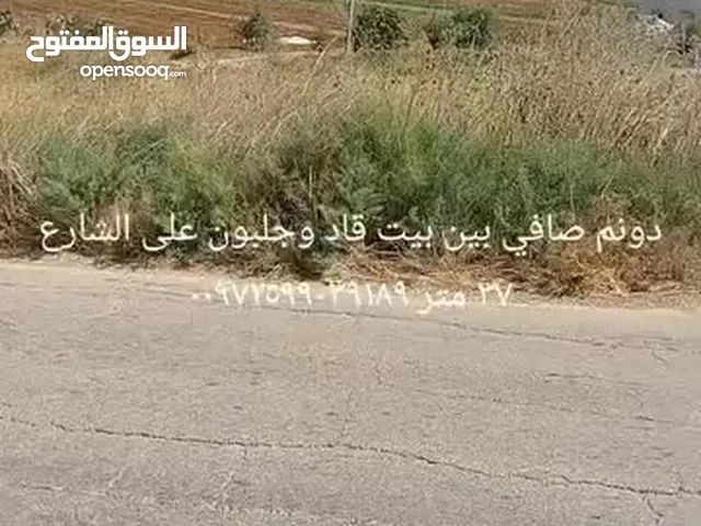 ارض استثمارية للبيع