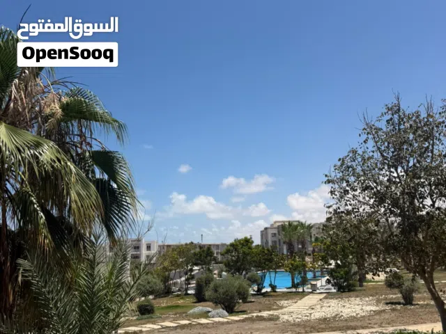 3 Bedrooms Farms for Sale in Alexandria North Coast