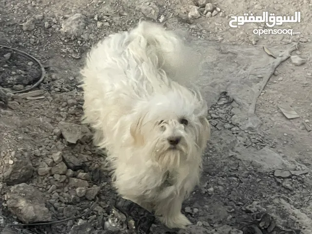 عمر 9 شهور