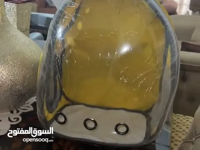 حقيبة قطط جديدة