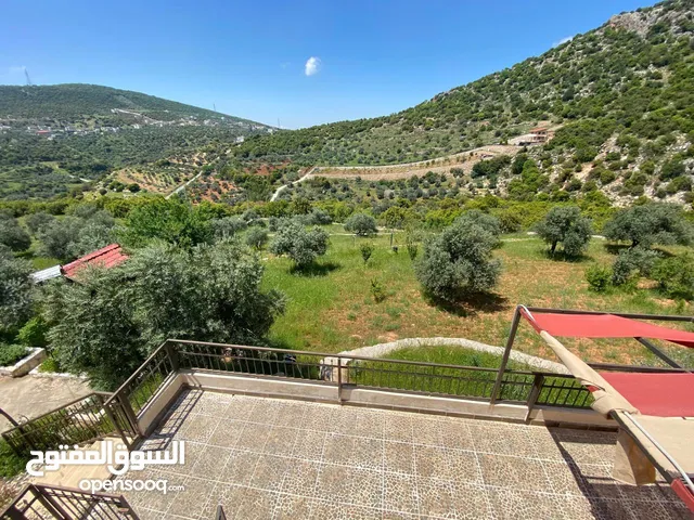 2 Bedrooms Farms for Sale in Ajloun Other