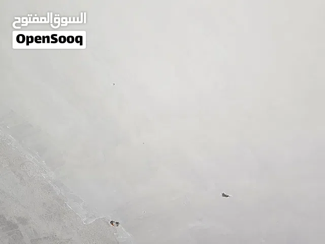 خلفة لباخ اسود وابيض.