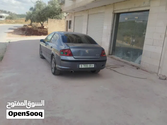 2007 Peugeot 407 Standard